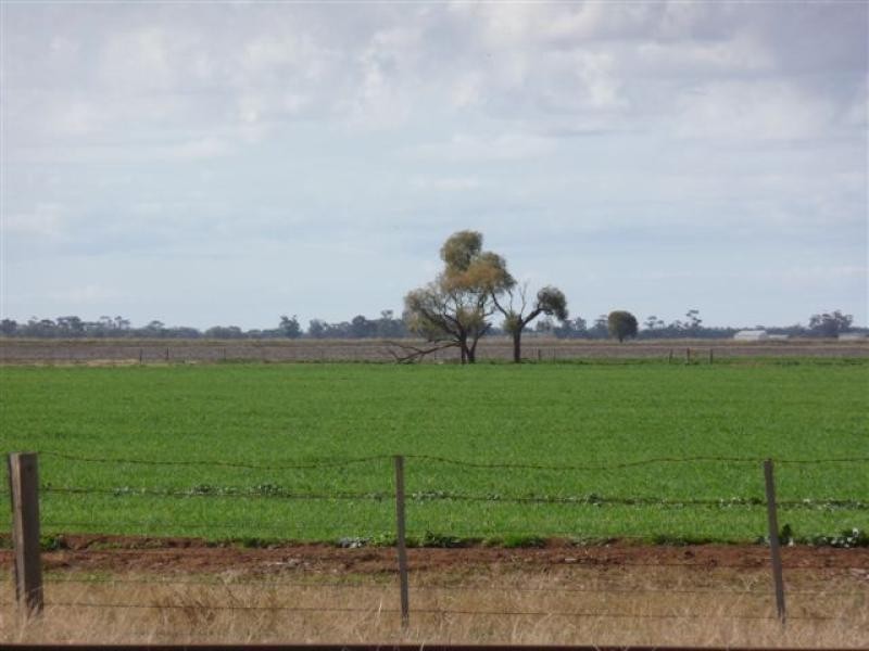 Jerilderie NSW 2716