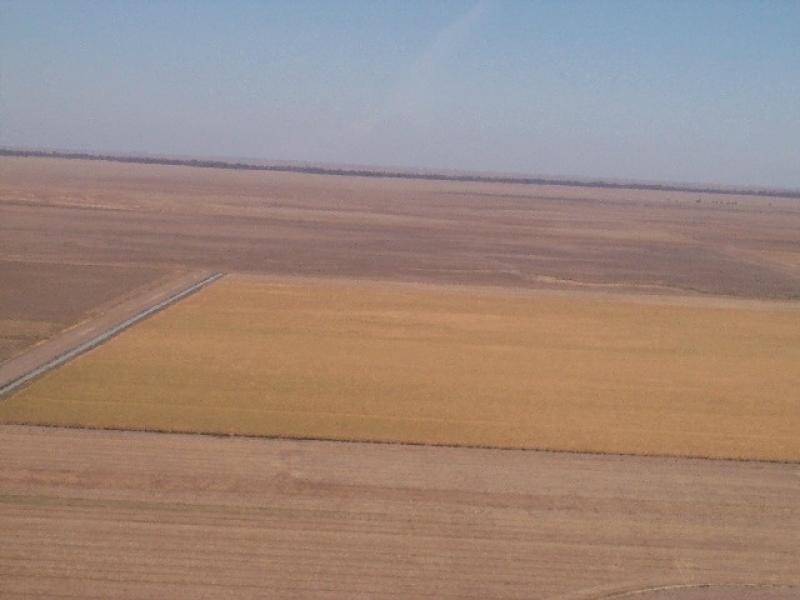 Hay NSW 2711