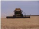 Hay NSW 2711