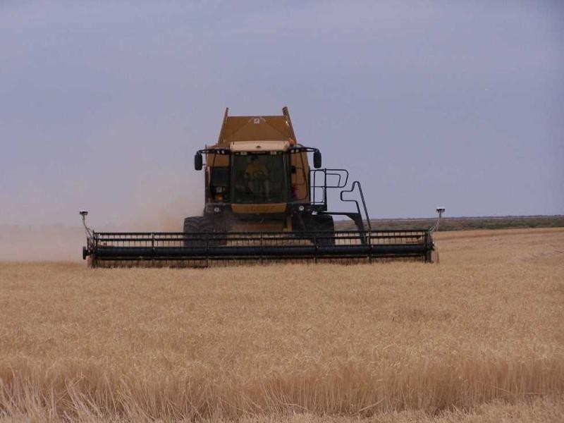 Hay NSW 2711