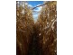 Hay NSW 2711