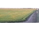 Hay NSW 2711