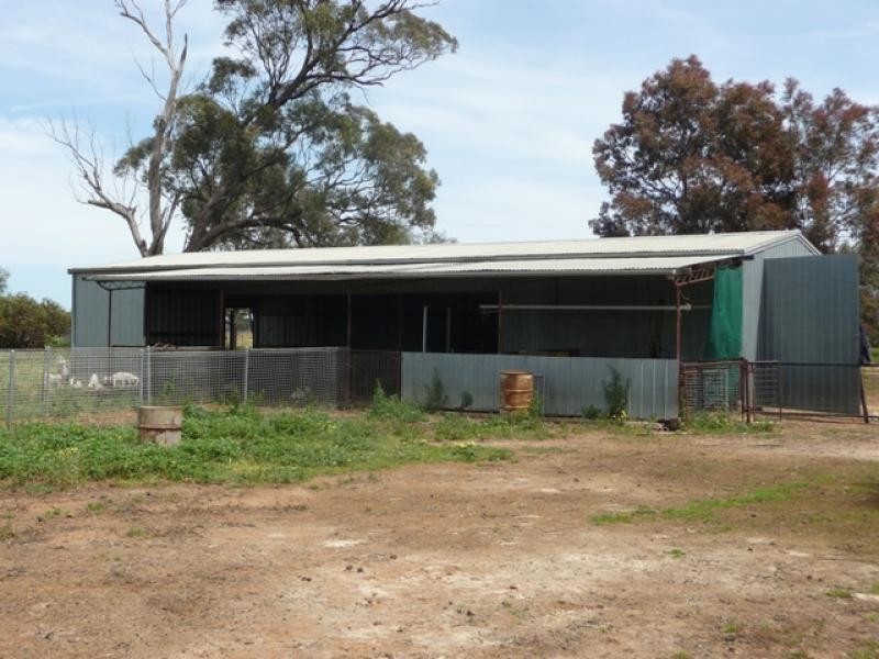 Berrigan NSW 2712