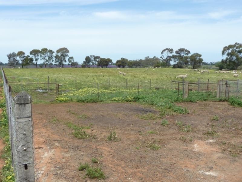 Berrigan NSW 2712