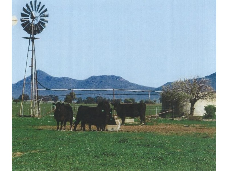 Lake Cargelligo NSW 2672