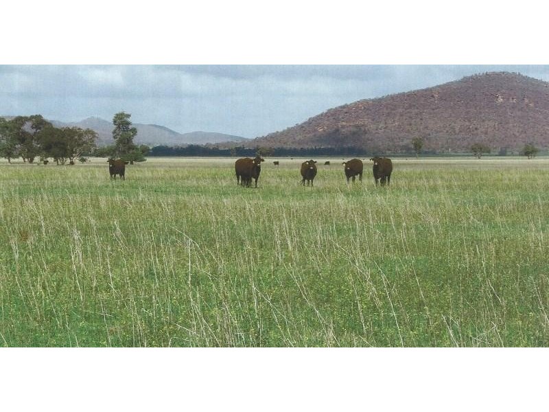 Lake Cargelligo NSW 2672