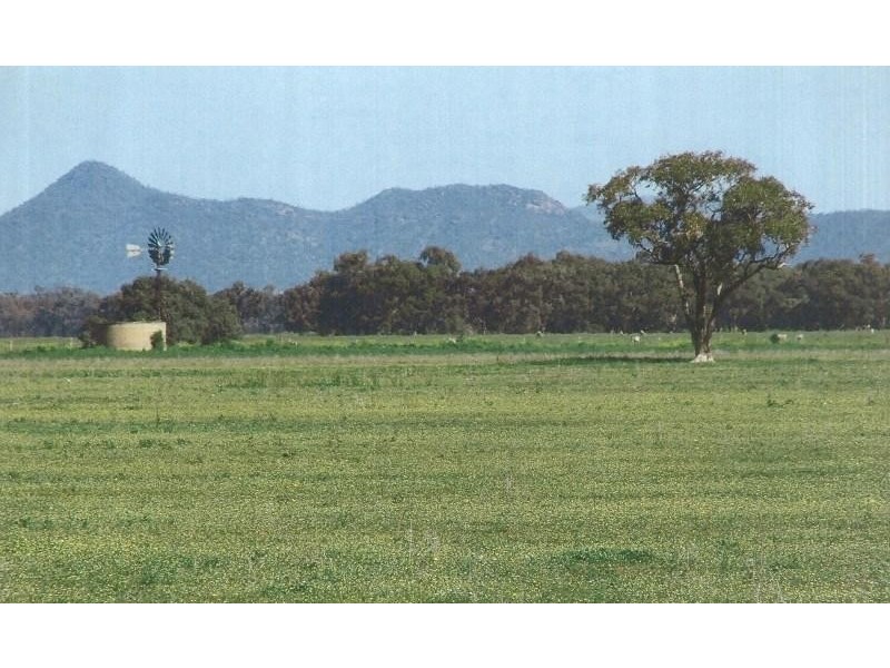 Lake Cargelligo NSW 2672