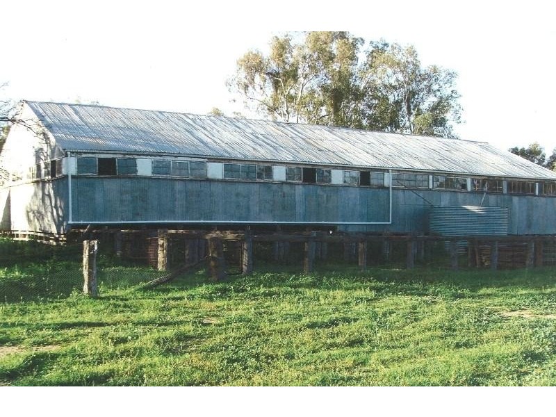 Lake Cargelligo NSW 2672