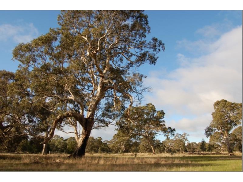 0 reeds rd, Bochara VIC 3301