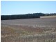 Tarrington VIC 3301