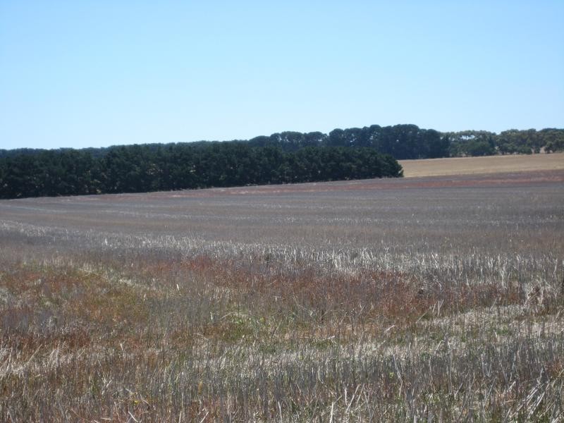 Tarrington VIC 3301