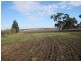 Croxton East VIC 3301
