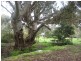 31 KENT RD, Hamilton VIC 3300