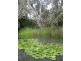 31 KENT RD, Hamilton VIC 3300