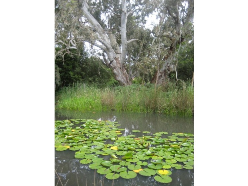 31 KENT RD, Hamilton VIC 3300
