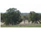 Cavendish VIC 3314