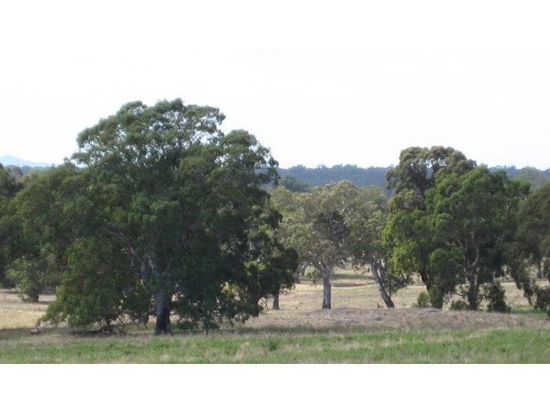 Cavendish VIC 3314