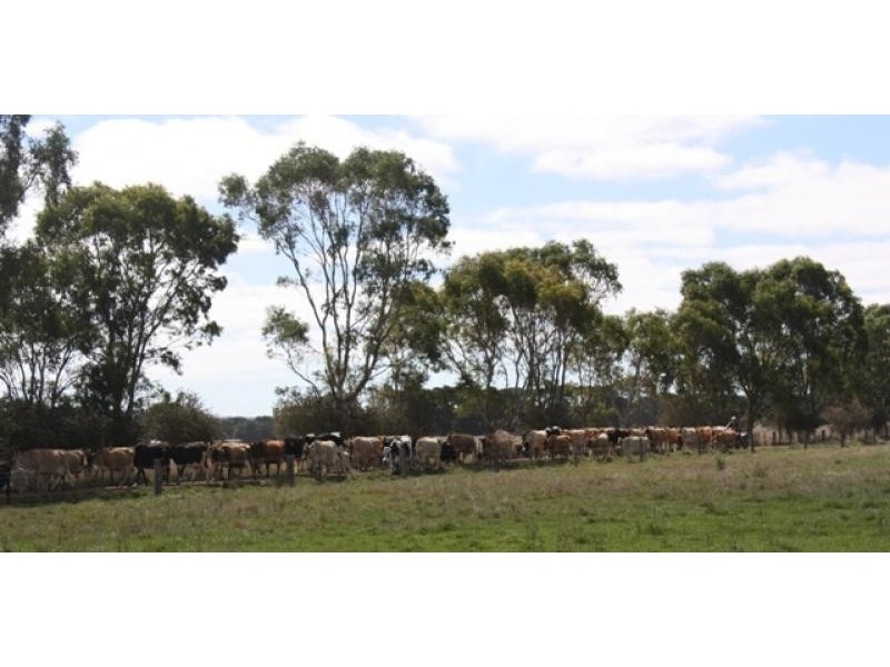 Wallacedale VIC 3303