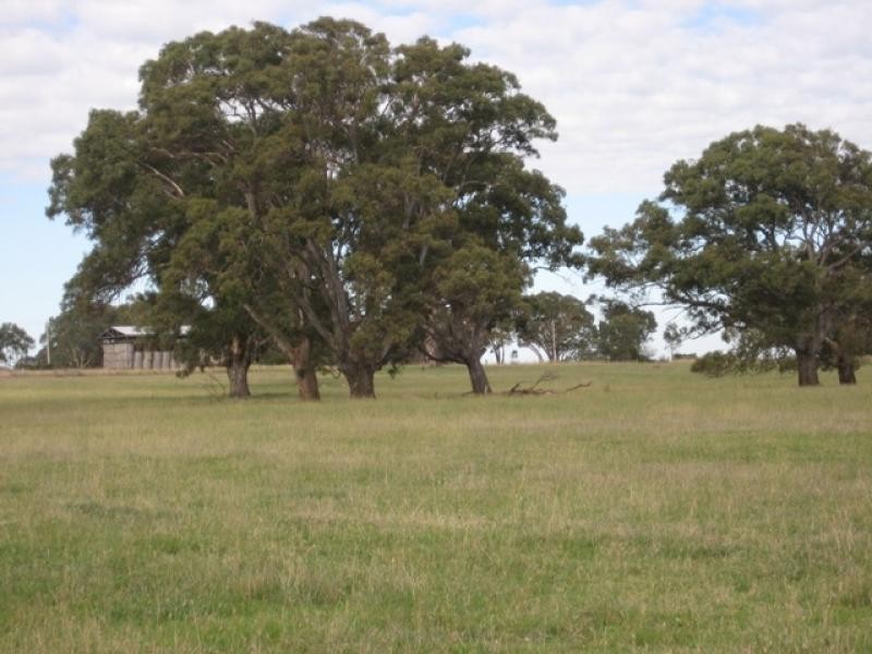 Hamilton VIC 3300
