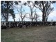 652 Middle Road,, Stanhope VIC 3623