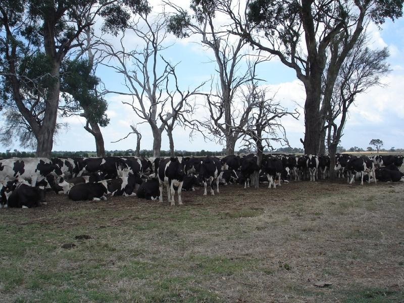 652 Middle Road,, Stanhope VIC 3623