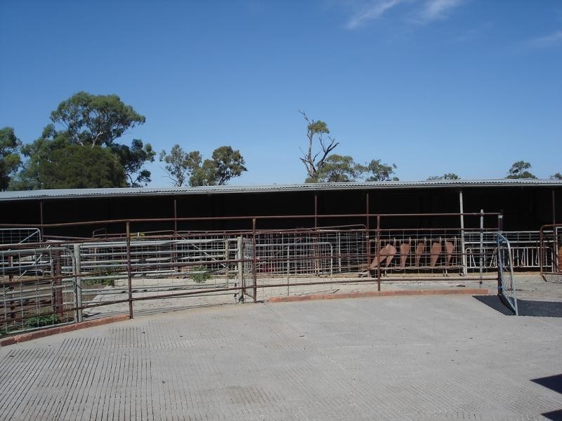 491 Mason Road, Girgarre VIC 3624