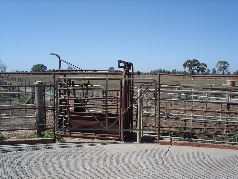 491 Mason Road, Girgarre VIC 3624