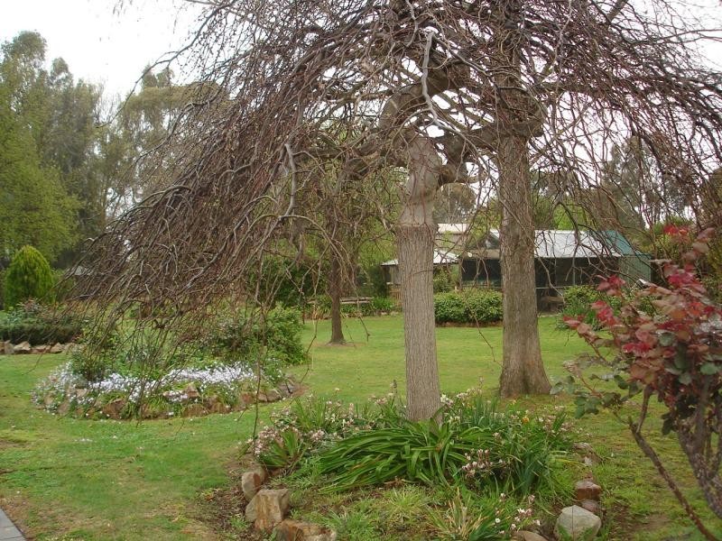 42 Tisdall Road, Kyabram VIC 3620