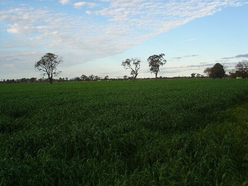 Lot 1/3135 Cooma Road, Kyabram VIC 3620