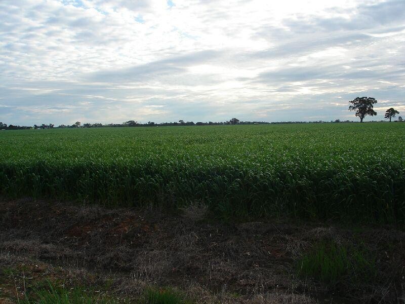 Lot 1/3135 Cooma Road, Kyabram VIC 3620