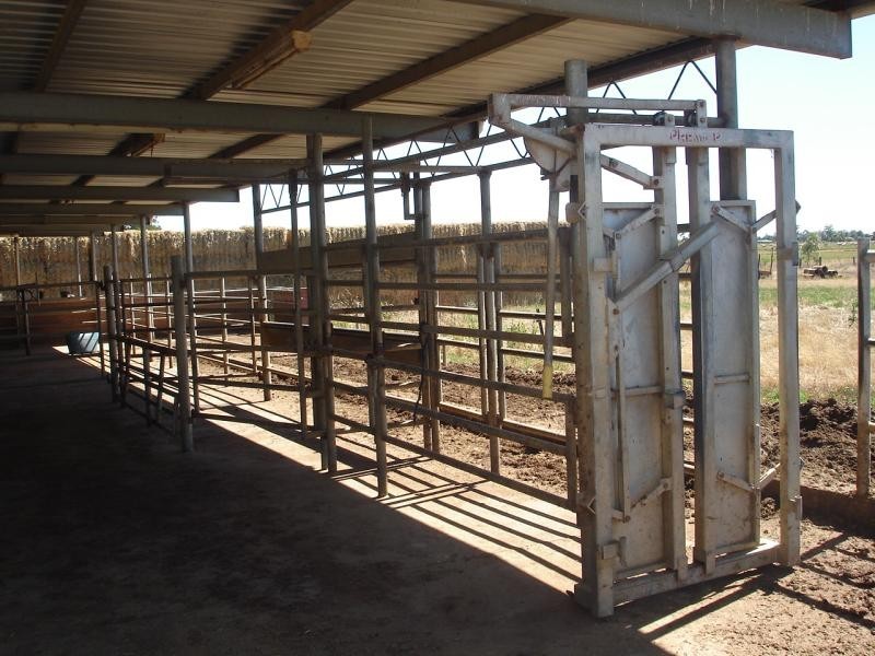 86 Goddard Road, Kyabram VIC 3620