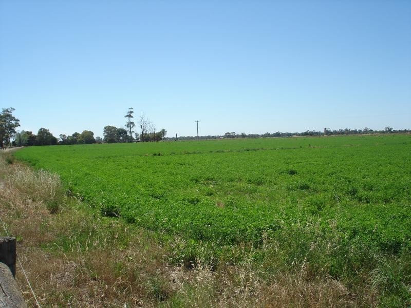 86 Goddard Road, Kyabram VIC 3620