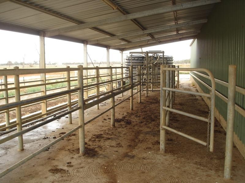 1345 Kiotta Rd, Harston VIC 3616