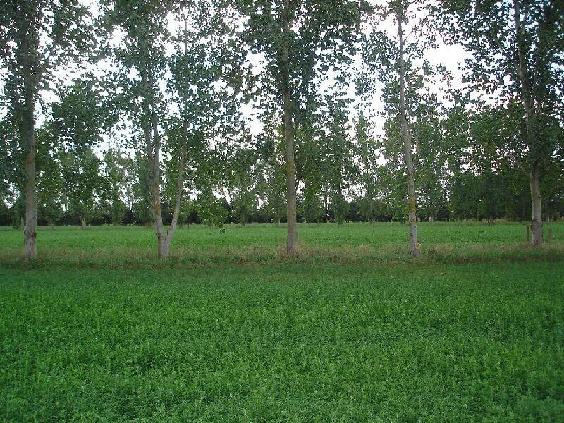 660 Cooma Road, Kyabram VIC 3620