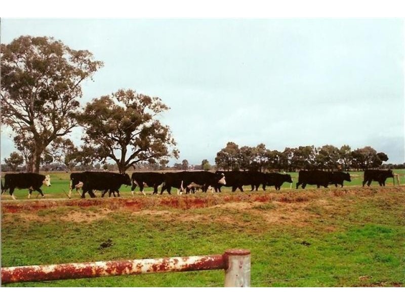 2335 Lilford Road, Kyabram VIC 3620