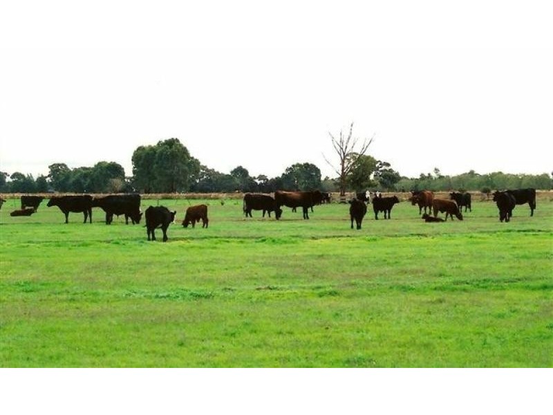 2335 Lilford Road, Kyabram VIC 3620