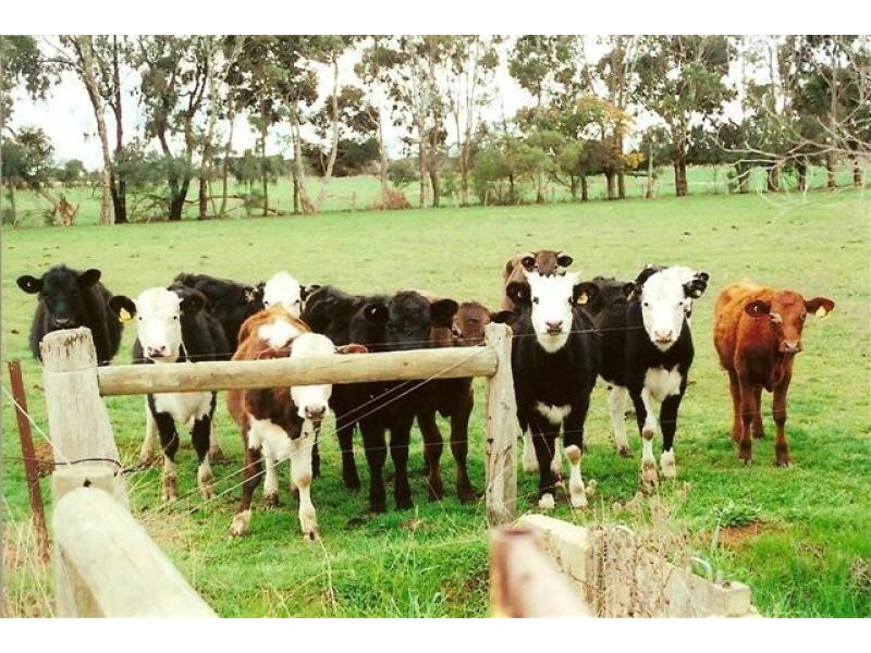 2335 Lilford Road, Kyabram VIC 3620