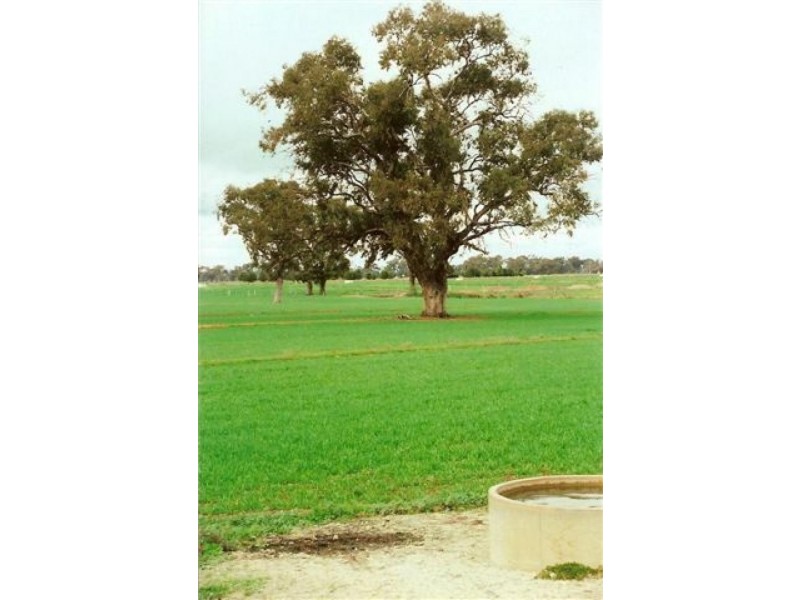 2335 Lilford Road, Kyabram VIC 3620