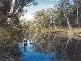CHINCHILLA, Chinchilla QLD 4413