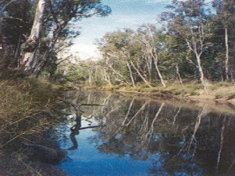 CHINCHILLA, Chinchilla QLD 4413
