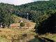 Dorrigo NSW 2453