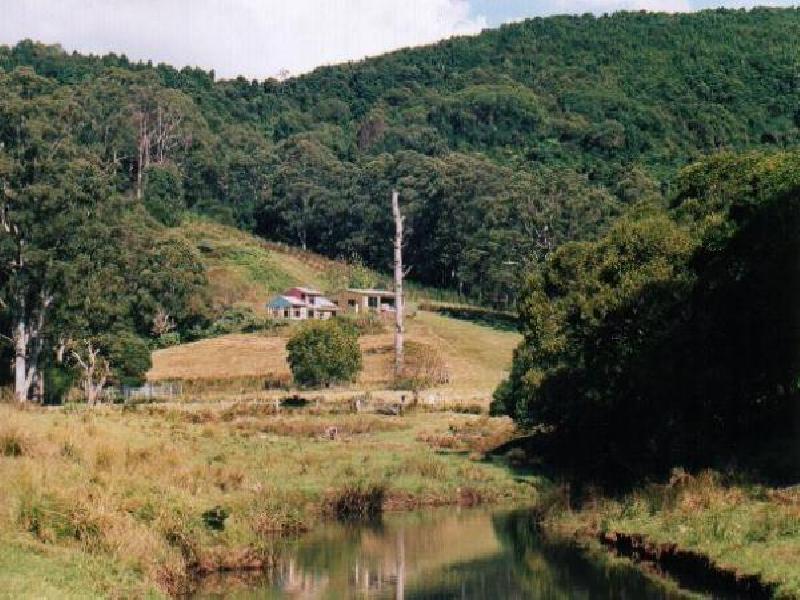 Dorrigo NSW 2453