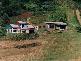 Dorrigo NSW 2453