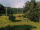 Dorrigo NSW 2453