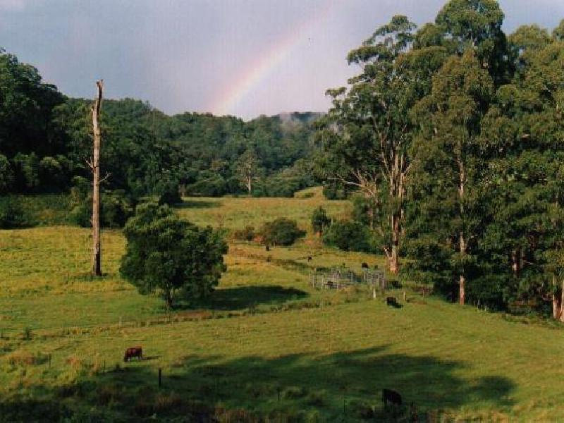 Dorrigo NSW 2453