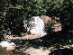 Dorrigo NSW 2453