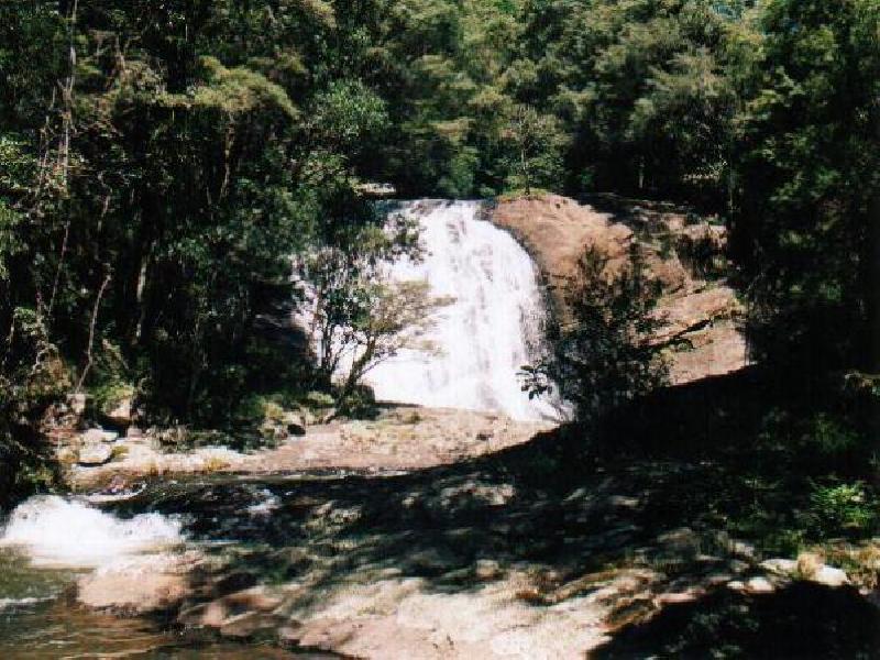 Dorrigo NSW 2453