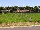 12 COFTON CLOSE, Dorrigo NSW 2453