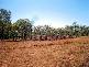 Mount Garnet QLD 4872