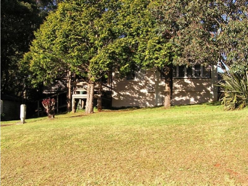 Dorrigo NSW 2453